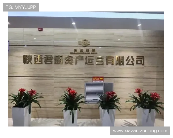 分析ag尊龙人生就是博网站的支付方式多样性及其快速到账的优势