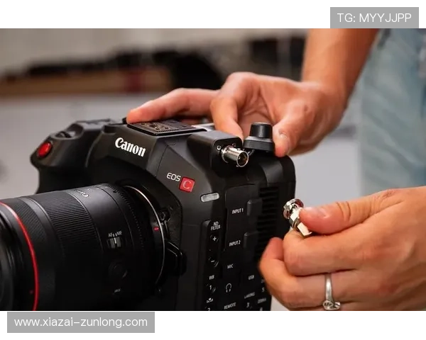 探讨z6尊龙官方网站入口的优势及热门功能